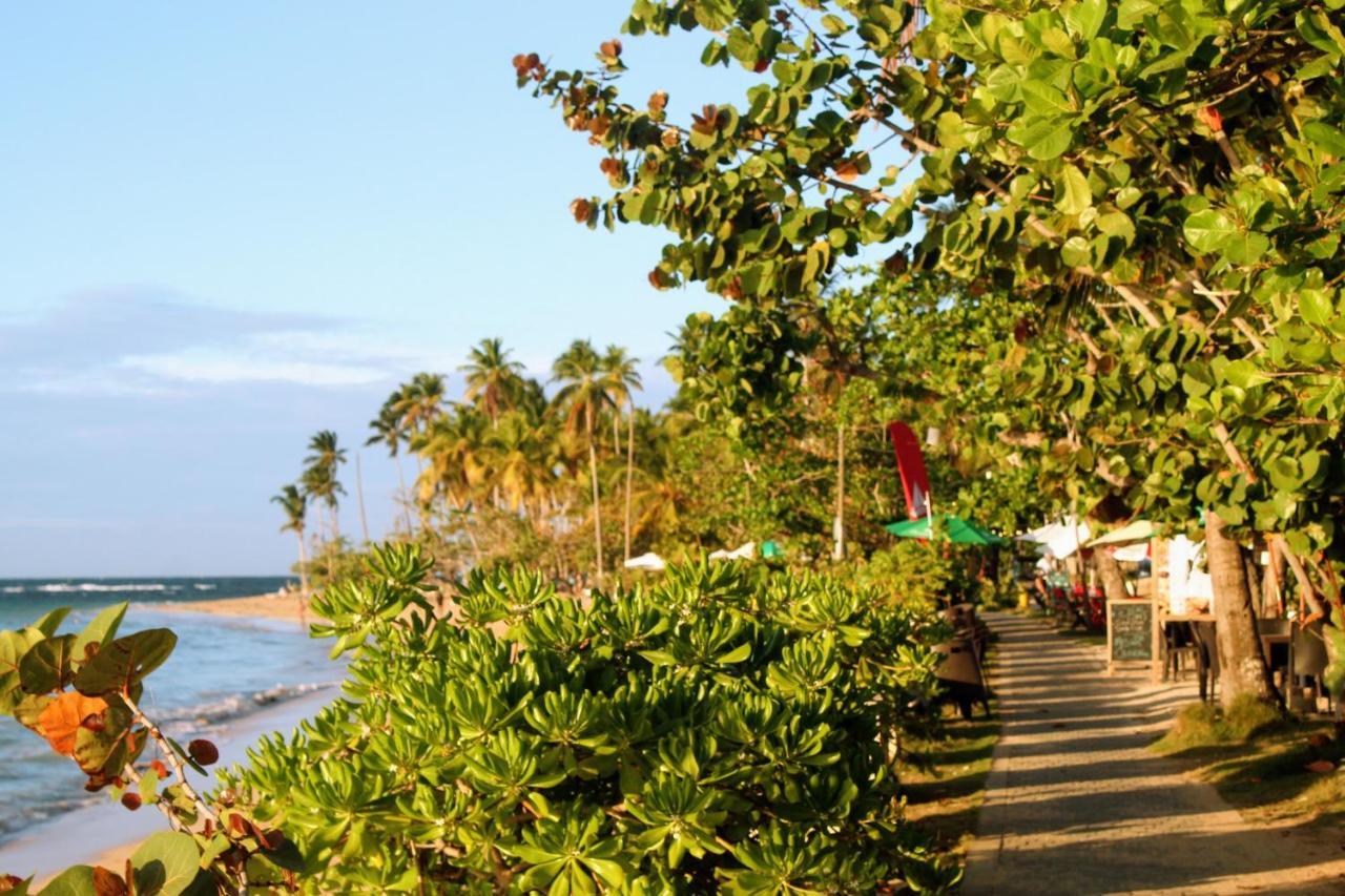 Aparthotel El Rincon De Abi à Las Terrenas Extérieur photo